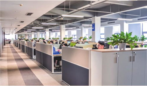 統籌規劃與技術創新 以房地一體確權登記系統為核心的鄉村房地管理新路徑